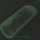Illustration for article titled The Mystery of What Fallout 4 Hides Underwater